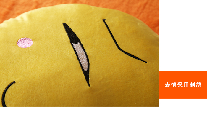 抱枕细节图_06.jpg