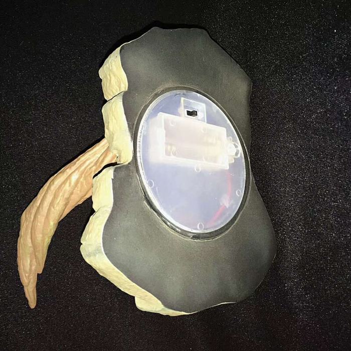 2018042401.jpg