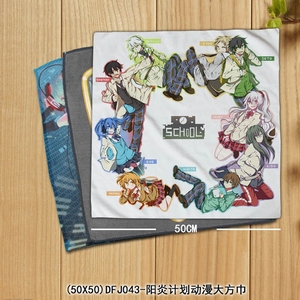 DFJ043-Ŀ�����е����������׶����󷽽�50X50