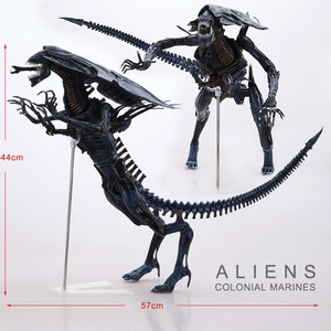 NECAδսѪսʿװְ15