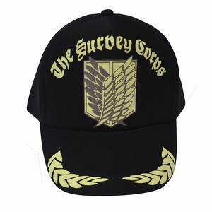 �����ľ��˵�����ű�־��ñ41