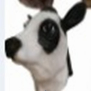 ��ţ�齺COS��װ���һ��50��50������