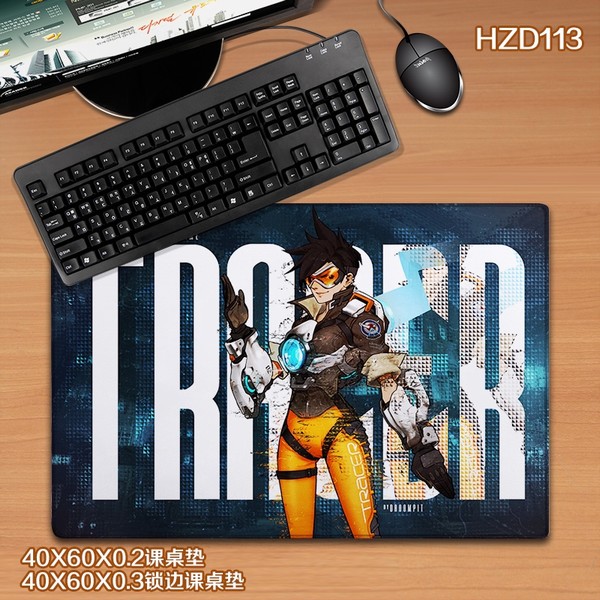 HZD113-ȷϷ 40X60CM𽺿