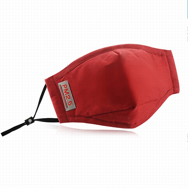 �������������޿��ֺ�ɫ ��PM2.5����Ƭ 5������